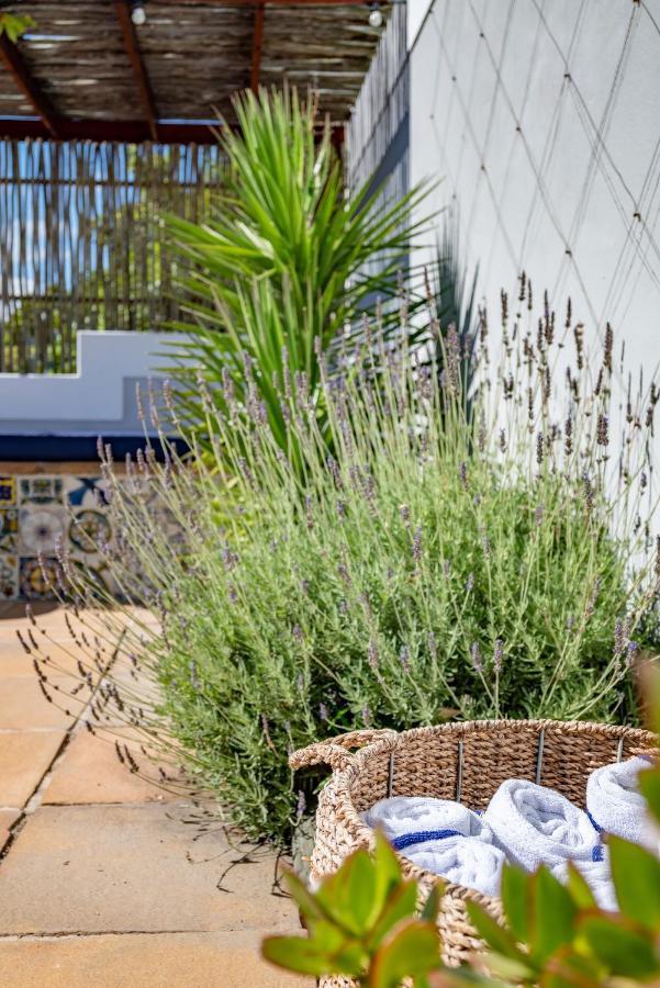 Hout & About Guest House Hout Bay Exterior foto